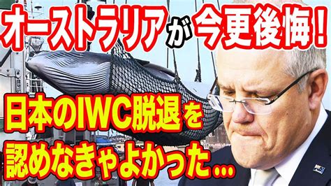 iwc脱退 オーストラリア 後悔